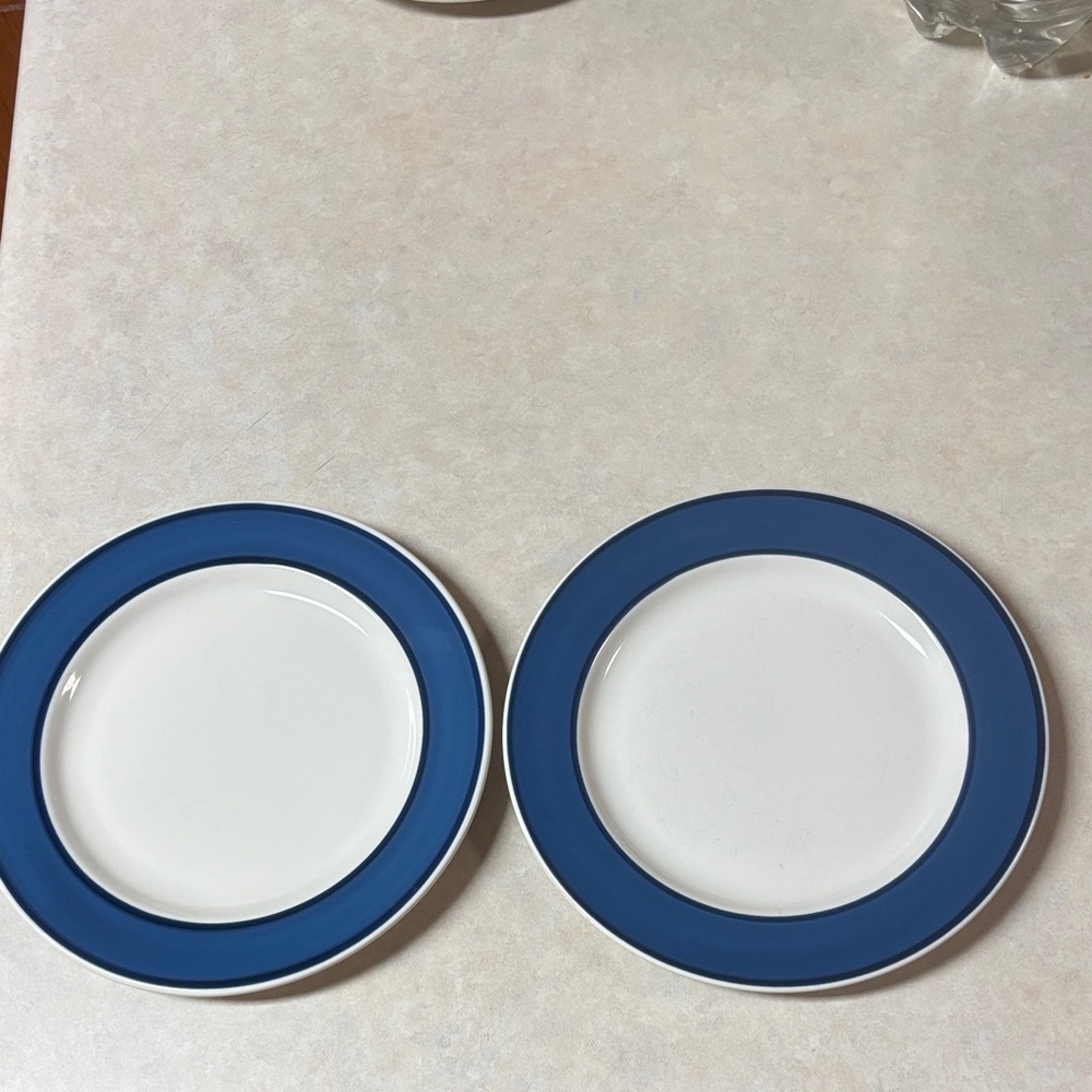 Set of 2 Nancy Calhoun  Sky Blue and Sapphire Salad Plates